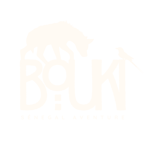 logo bouki